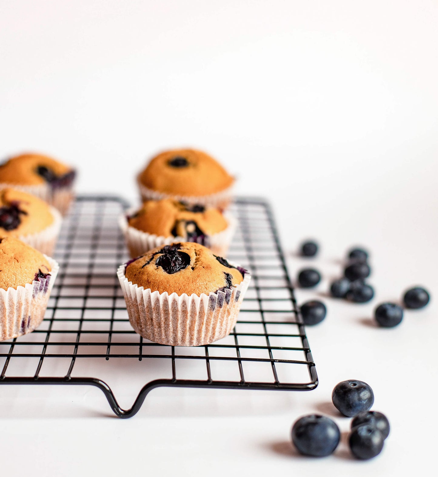 Blueberry Muffin Mix (Gluten Free)